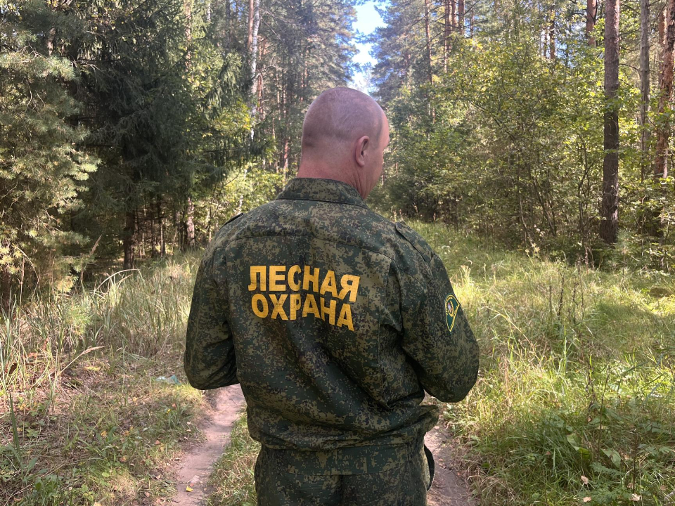 Фото: МедиаБанк Подмосковья/Ангелина Стельмух