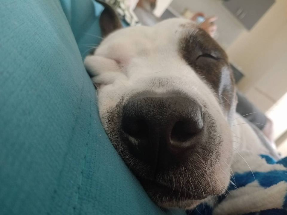 Фото: Анастасия Хонская