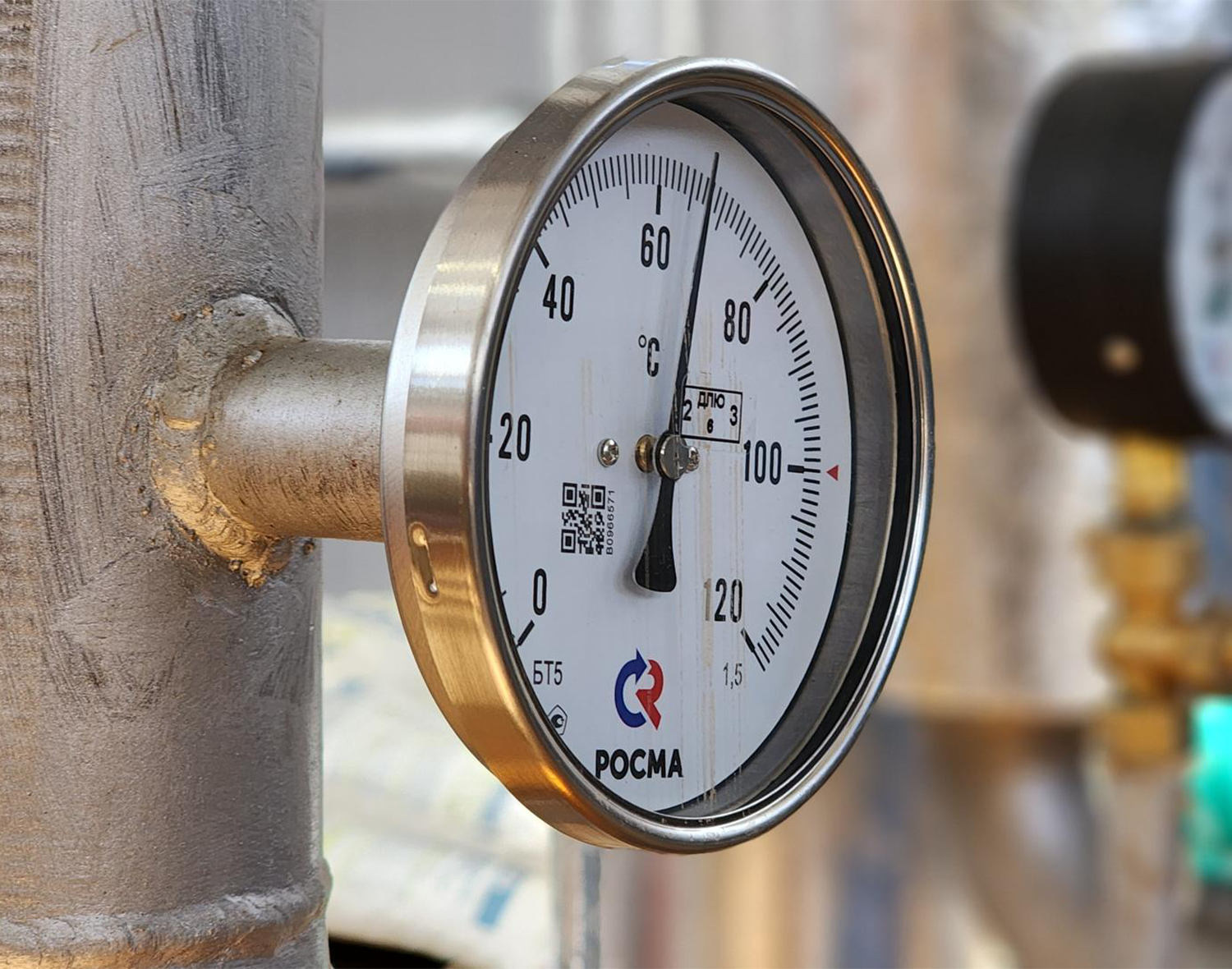 Фото: МедиаБанк Подмосковья/Екатерина Данилина