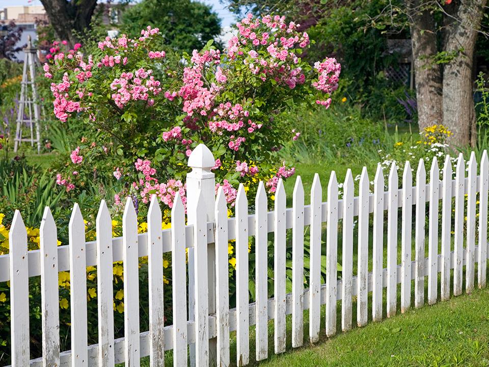   Фото: istockphoto.com