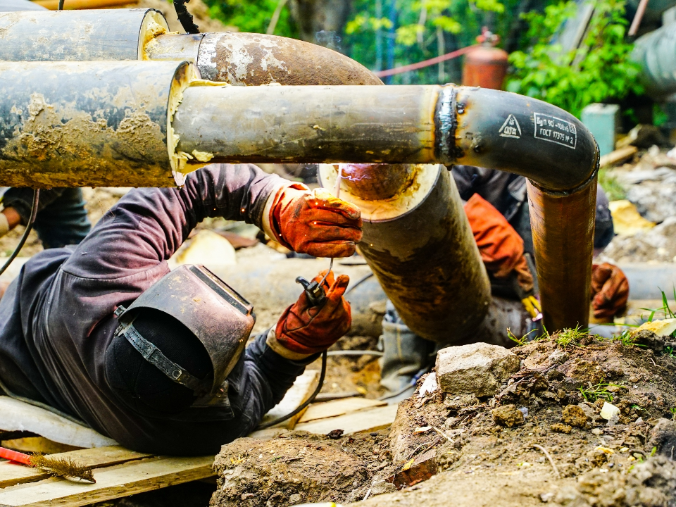 Фото: пресс-служба администрации г.о. Химки