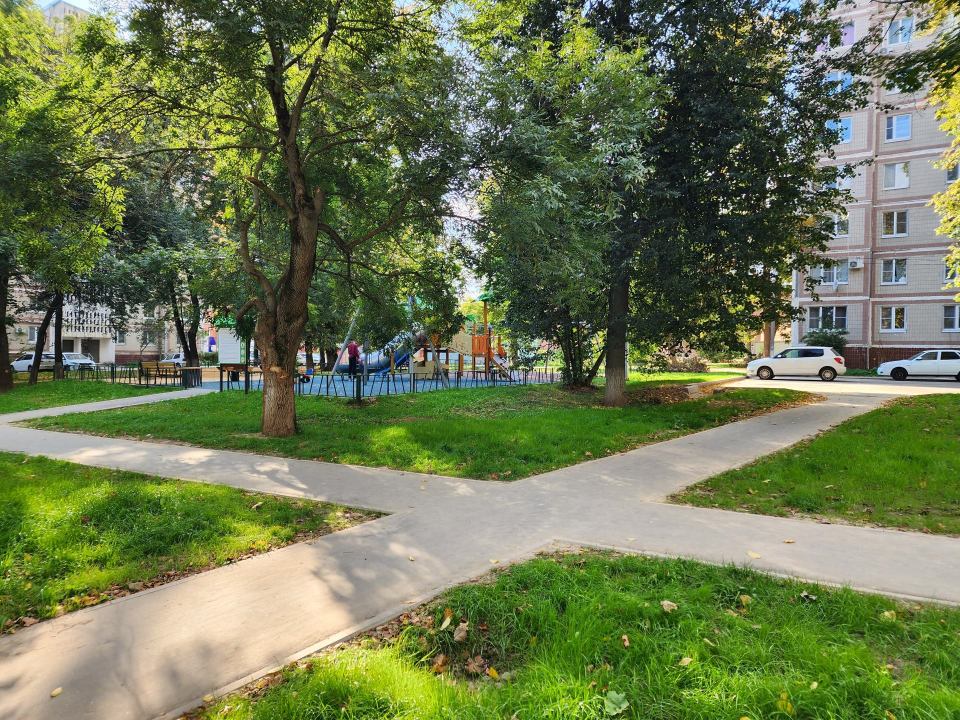 Фото: Медиабанк Подмосковья/Дмитрий Алексеенко