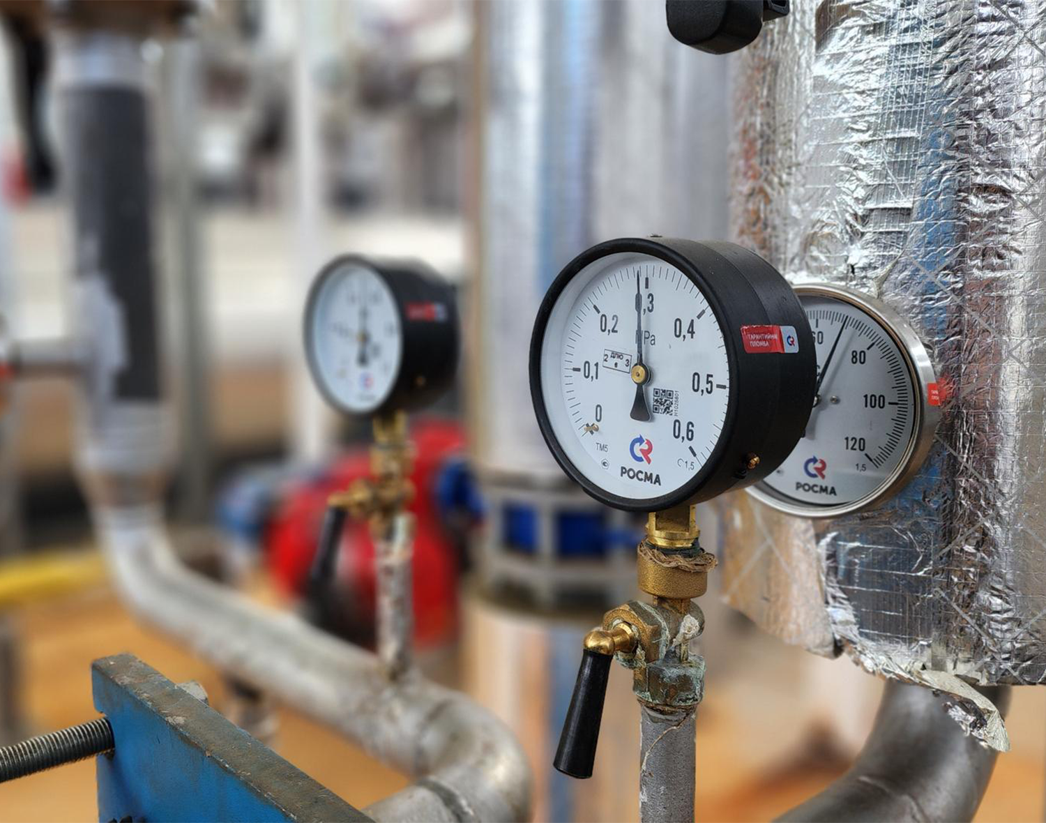 Фото: МедиаБанк Подмосковья/Екатерина Данилина