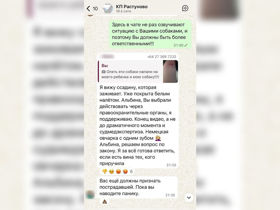 Фото предоставлено мамой пострадавшего ребенка Альбиной