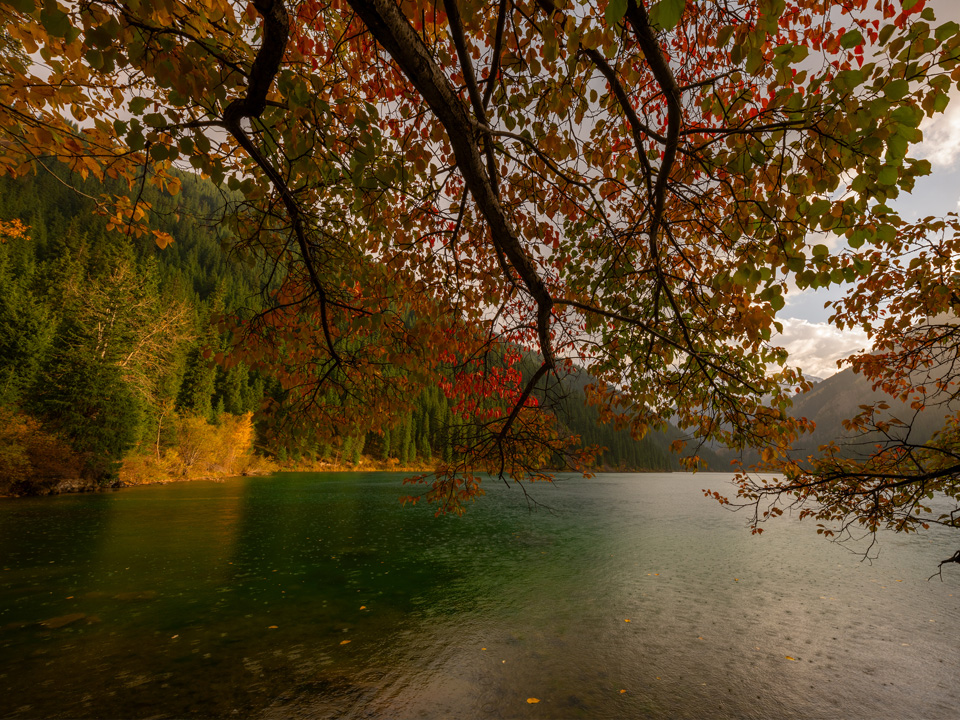 Фото: istockphoto.com/Max Zolotukhin 