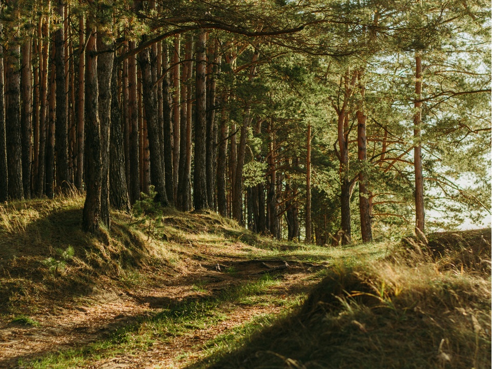 Фото: unsplash.com