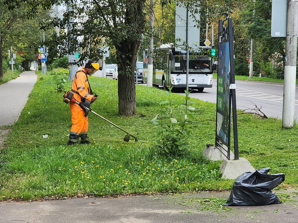 Фото: Медиабанк Подмосковья/Дмитрий Алексеенко
