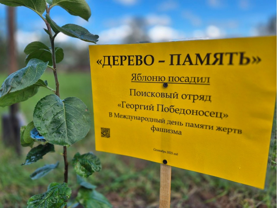 Фото: управление образования городского округа Коломна