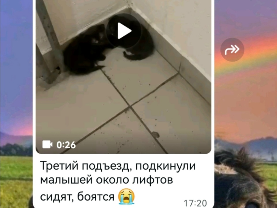 Фото предоставлено Татьяной Очаковской