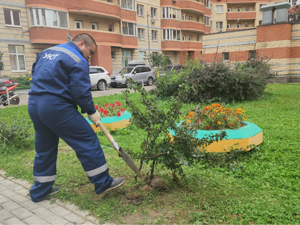 Фото: Наталья Лымарь 