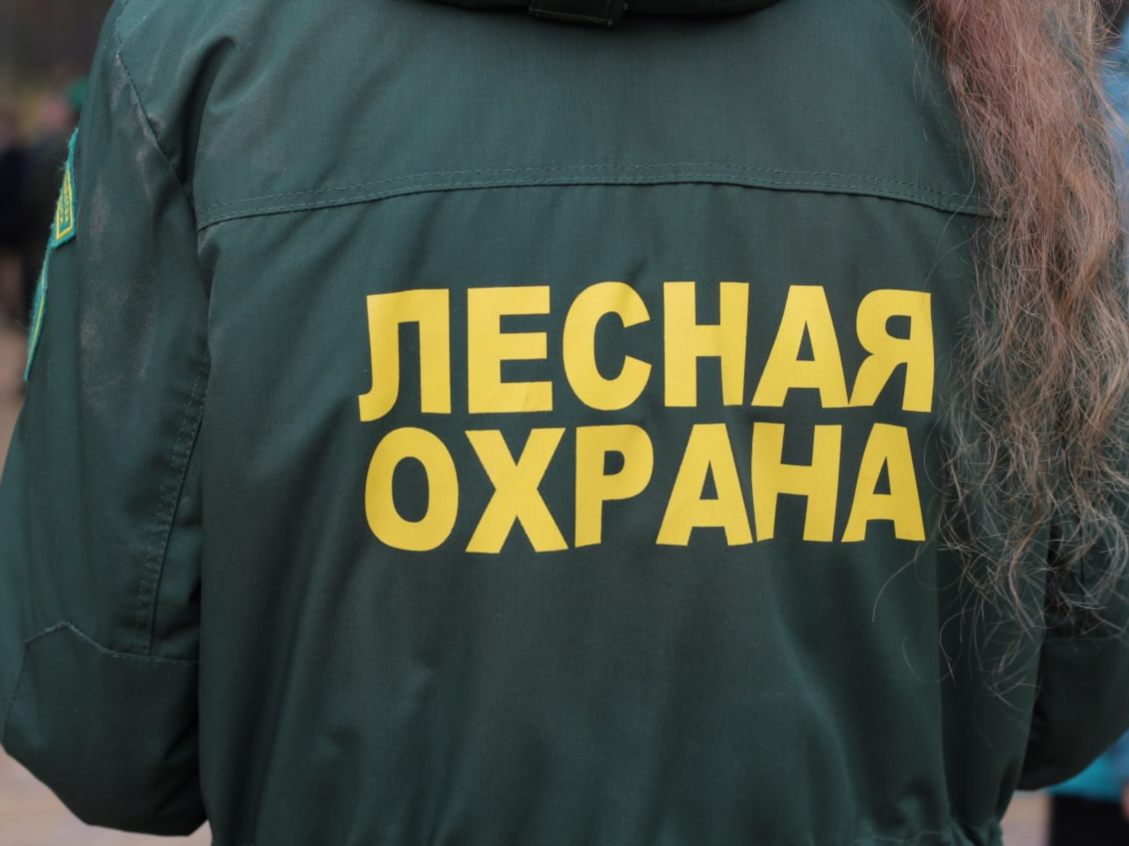 Фото: пресс-служба администрации Луховиц