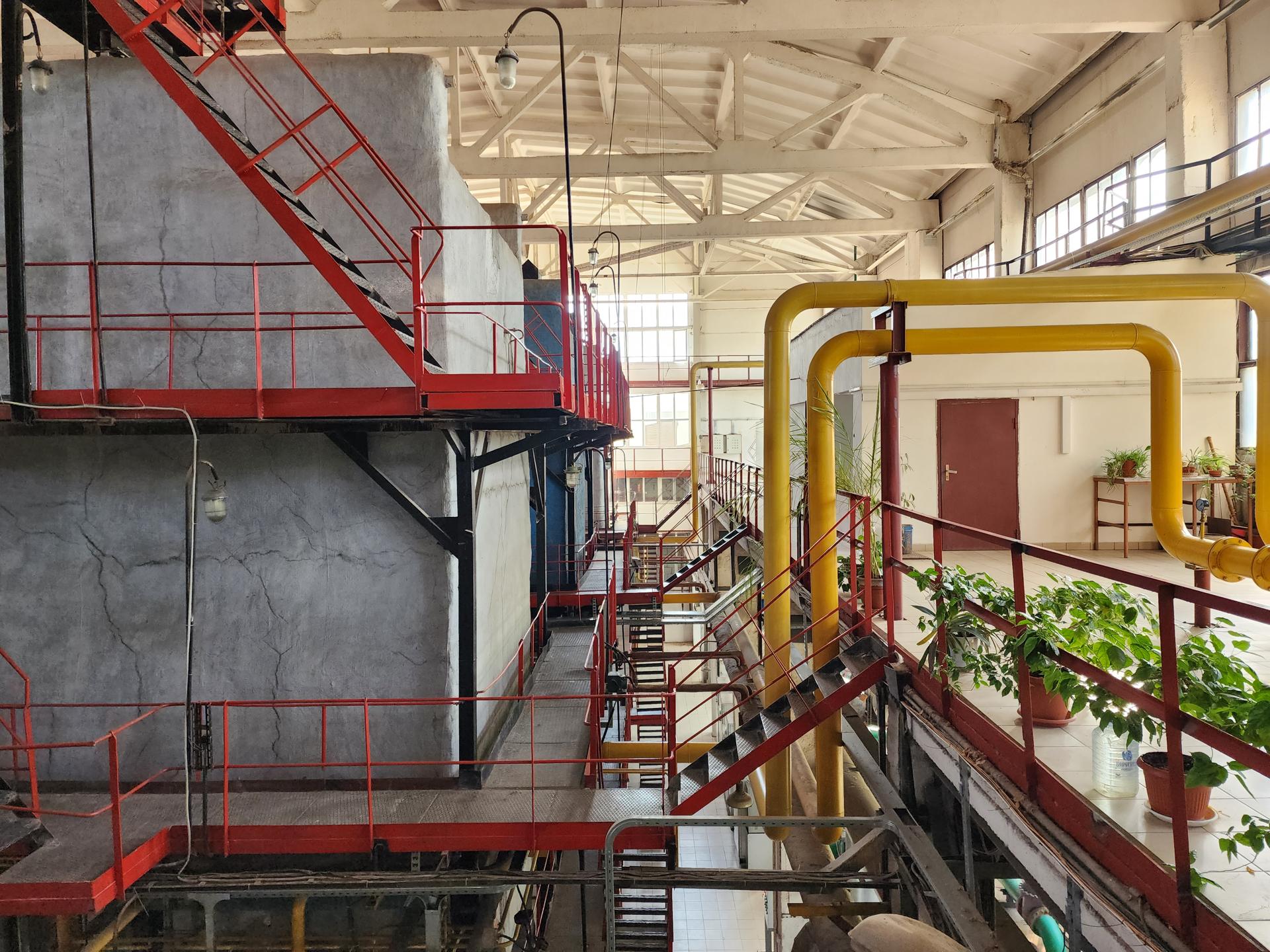 Фото: МедиаБанк Подмосковья/Ирина Моисеева