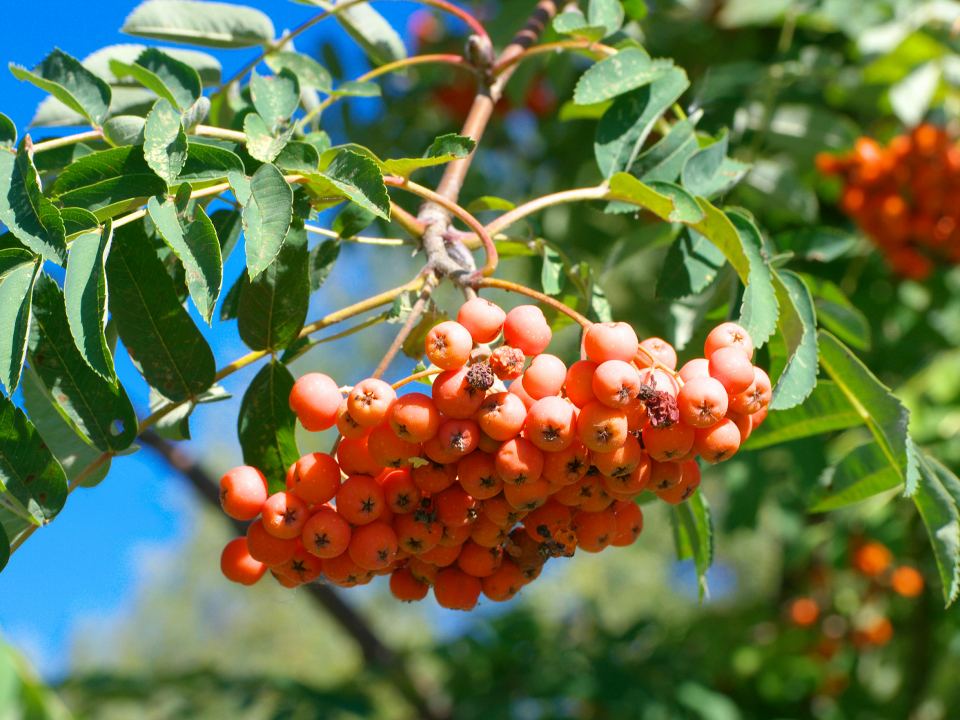 Фото: istockphoto.com/ru3apr