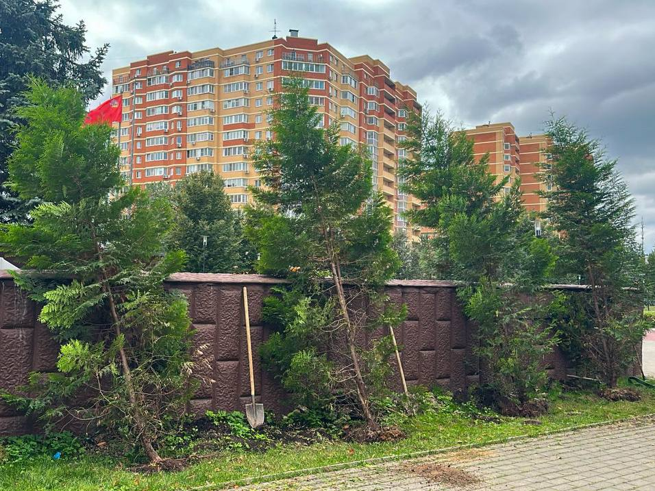 Фото: парк «Мечта» Селятино