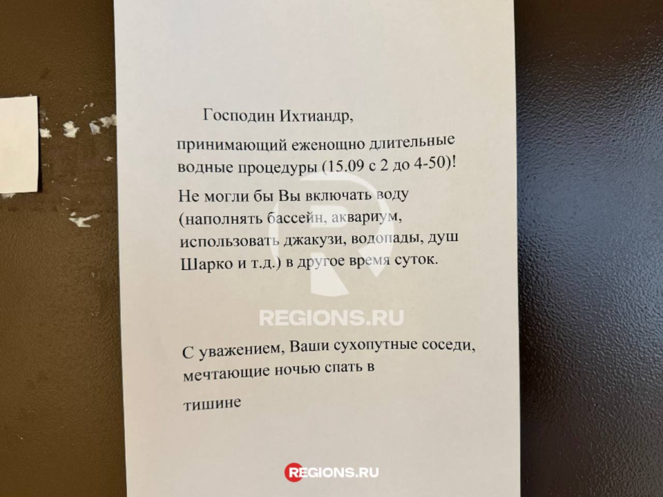 Фото: Фото: REGIONS/Андрей Савельев