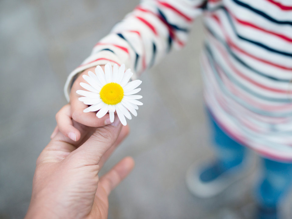 Фото: istockphoto.com/Hakase_