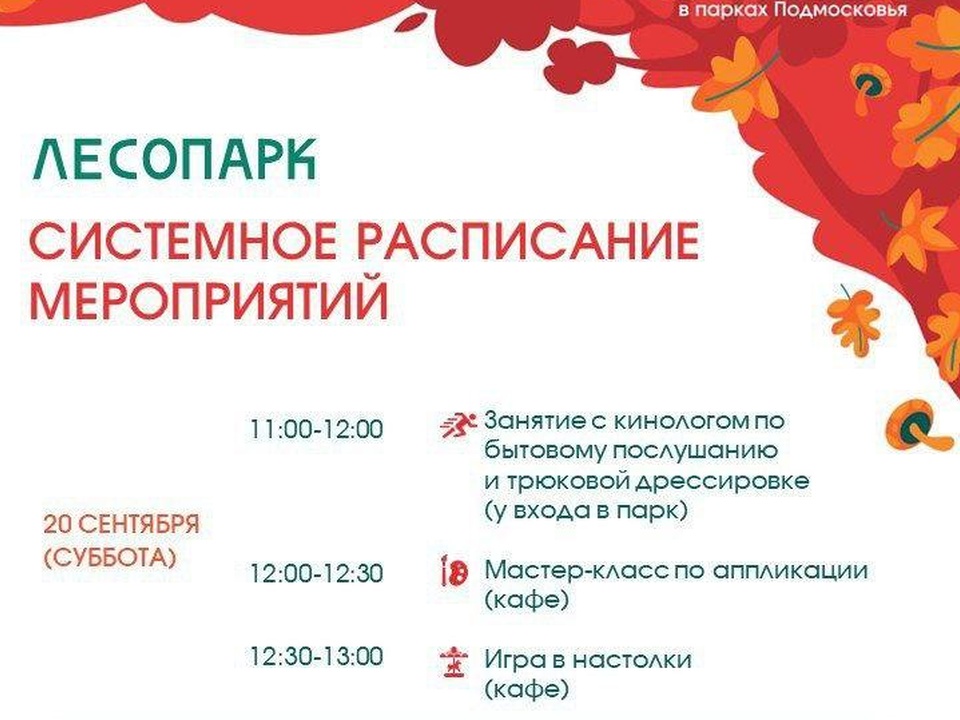 Фото: пресс-служба администрации городского округа Лобня