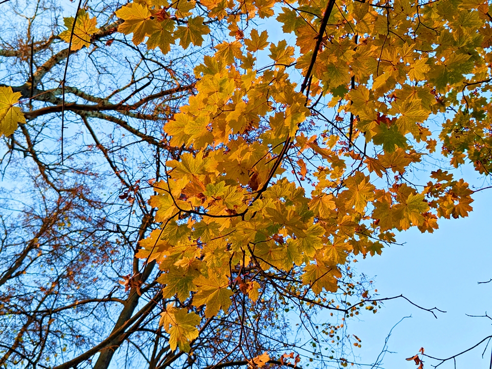 Фото: REGIONS/Алексей Селиверстов