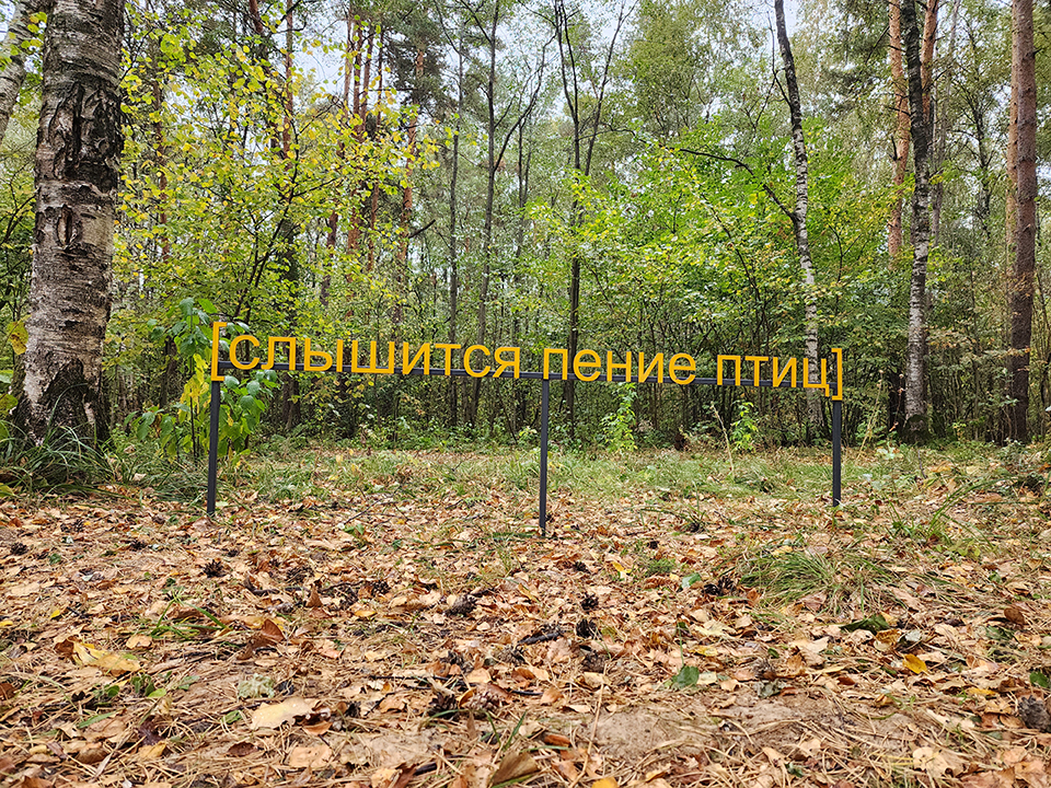 Фото: REGIONS/Мария Шматкова