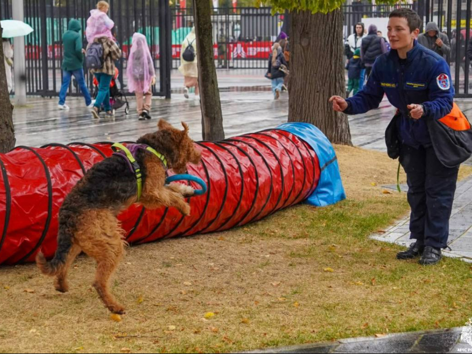 Фото: МЧС Московской области
