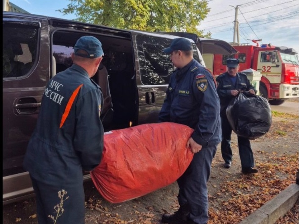 Фото: ГУ МЧС России по Московской области