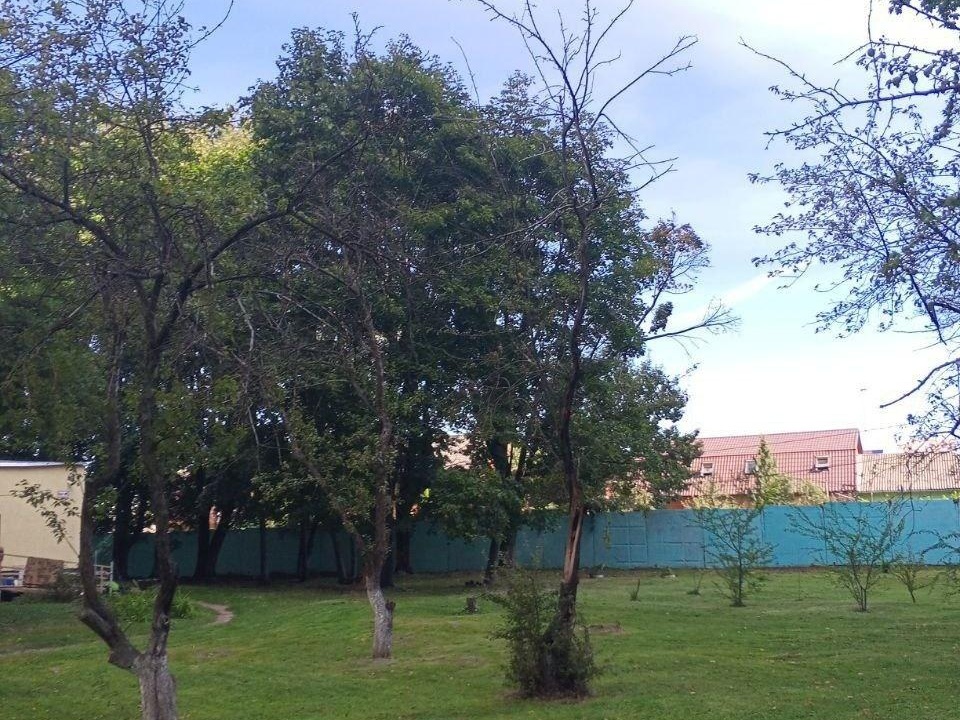 Фото: пресс-служба администрации Богородского городского округа 
