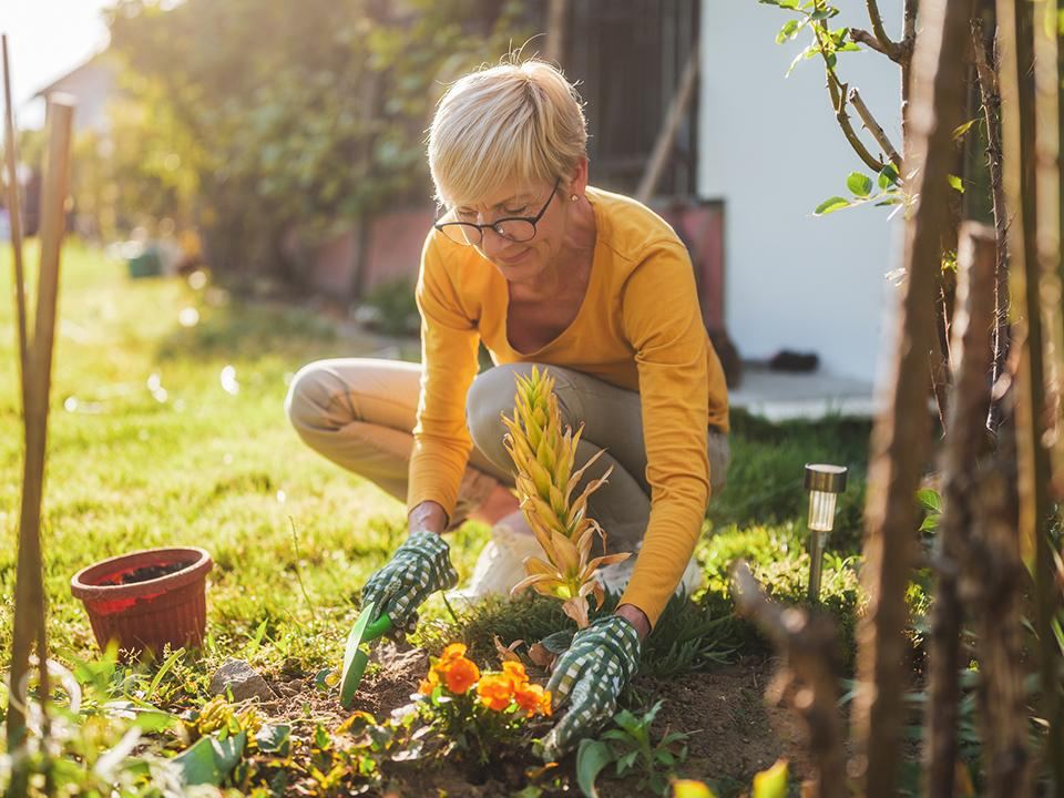   Фото: istockphoto.com/LittleBee80