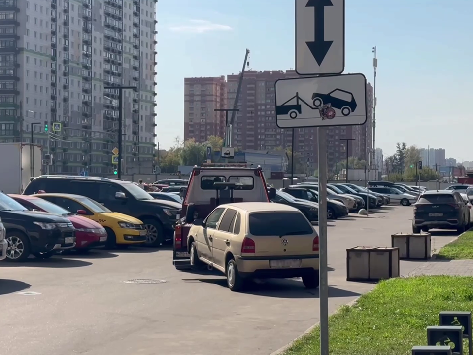 Фото: пресс-служба администрации г.о. Красногорск