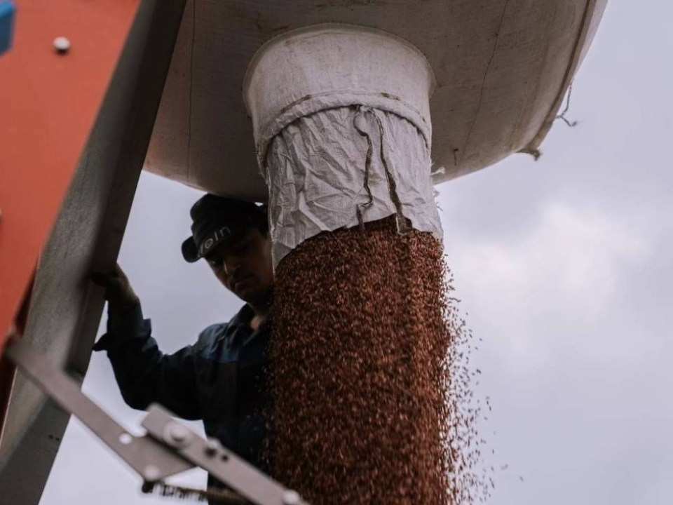 Фото: пресс-служба администрации г.о. Домодедово