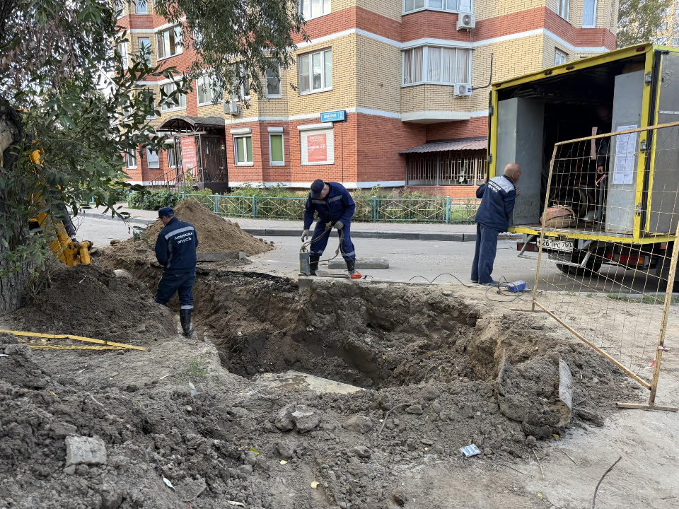 Фото: МедиаБанк Подмосковья/Анна Дука
