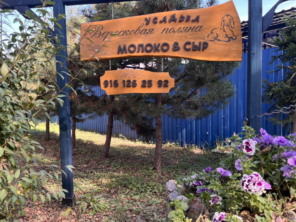 Фото: МедиаБанк Подмосковья/Ангелина Стельмух