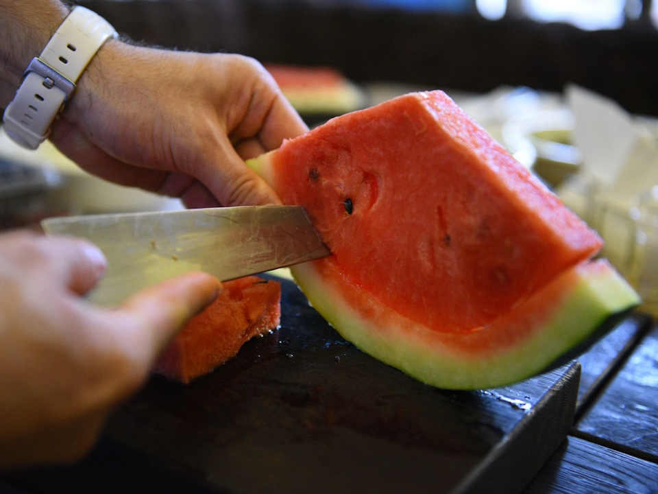 Фото: медиасток.рф/Медиаархив Подмосковья