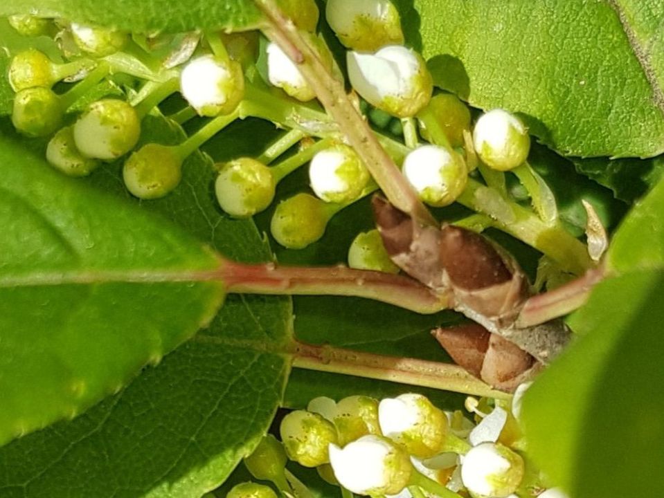 Фото: Алексей Балашов