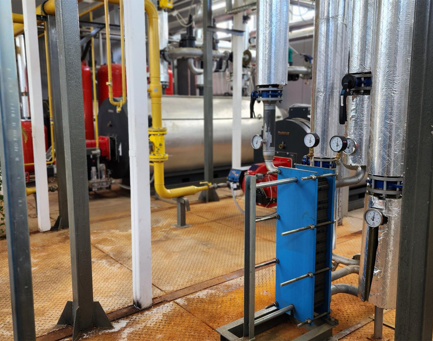 Фото: МедиаБанк Подмосковья/Екатерина Данилина