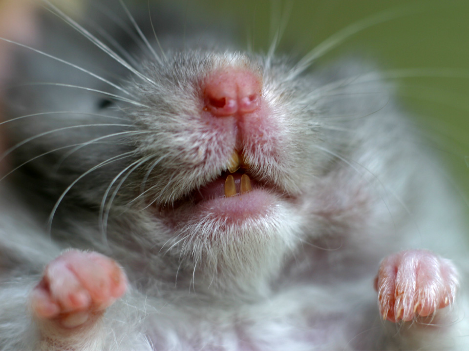 Фото: istockphoto.com/sansara 