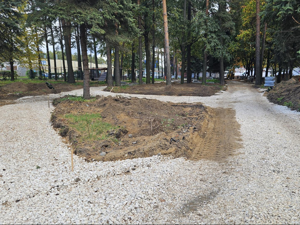 Фото: МедиаБанк Подмосковья/Ольга Вельшикаева