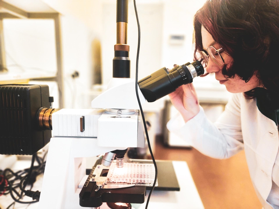 Фото: МедиаБанк Подмосковья/Мария Панина