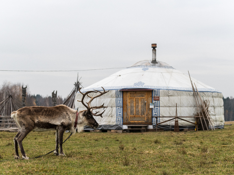 Фото: медиасток.рф