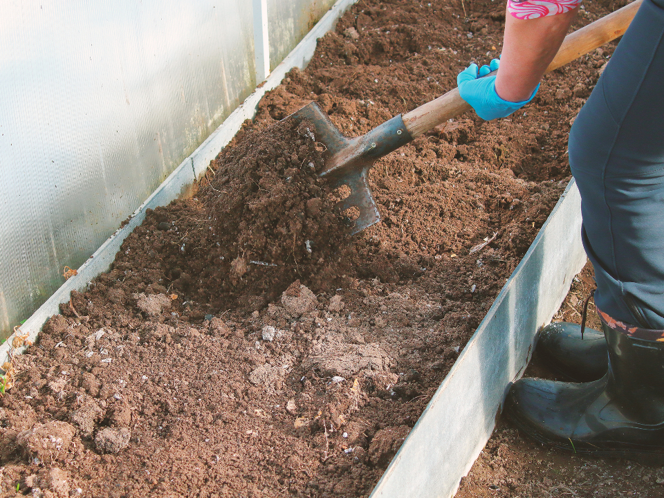 Фото: istockphoto.com/Far700