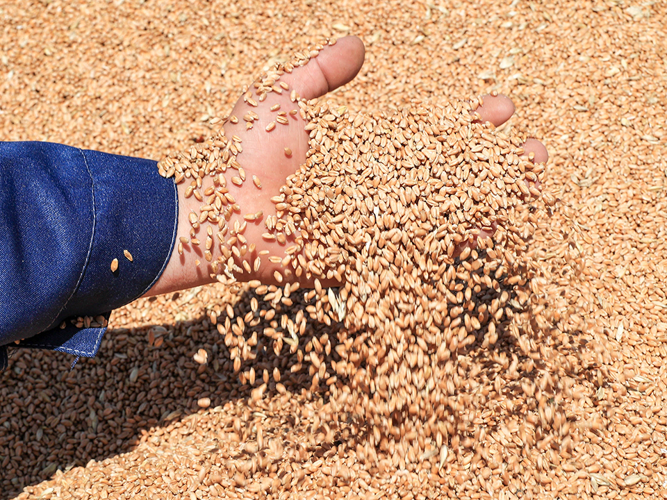 Фото: ТАСС/Дмитрий Рогулин