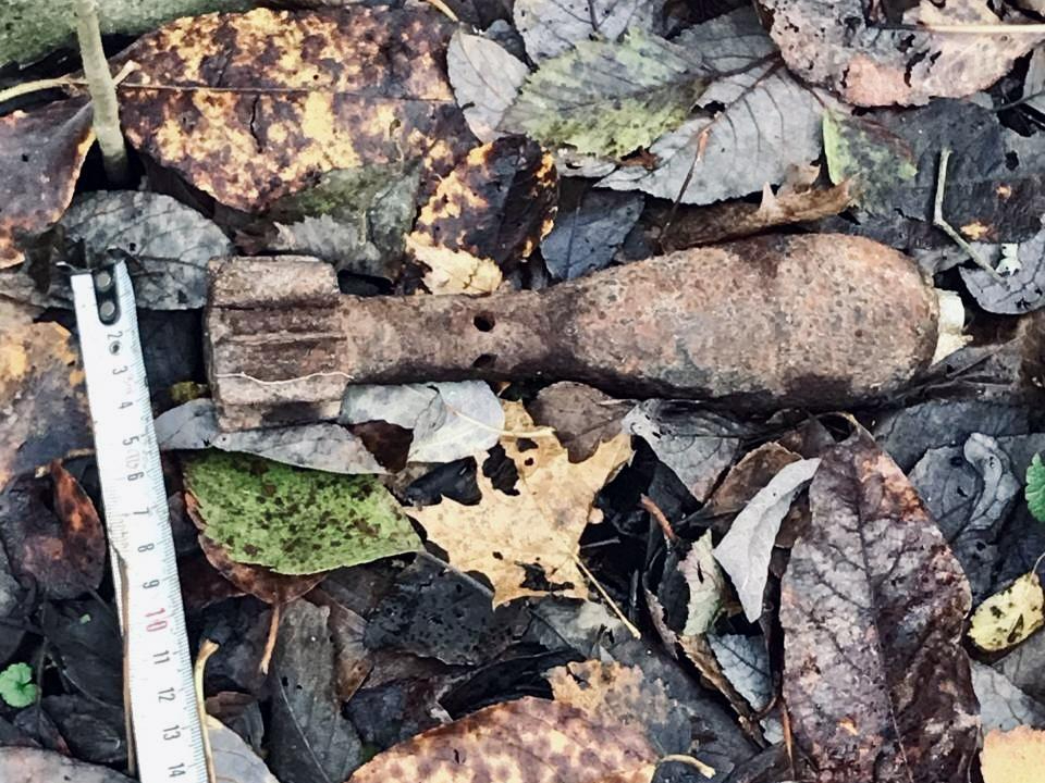 Фото: ГКУ МО «Мособлпожспас»