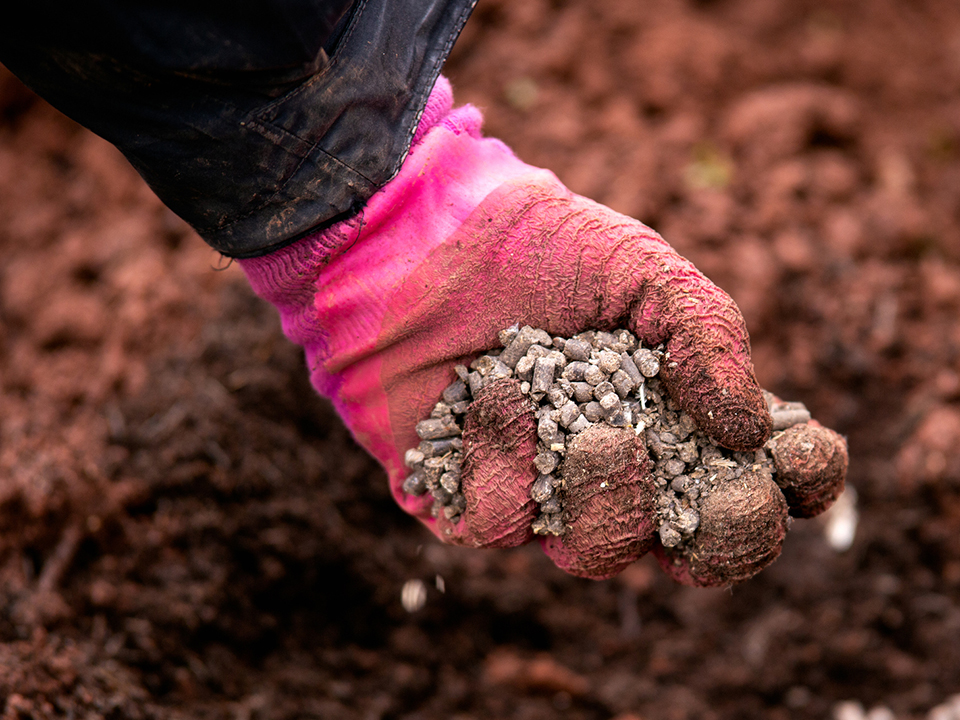 Фото: istockphoto.com/Maksims Grigorjevs
