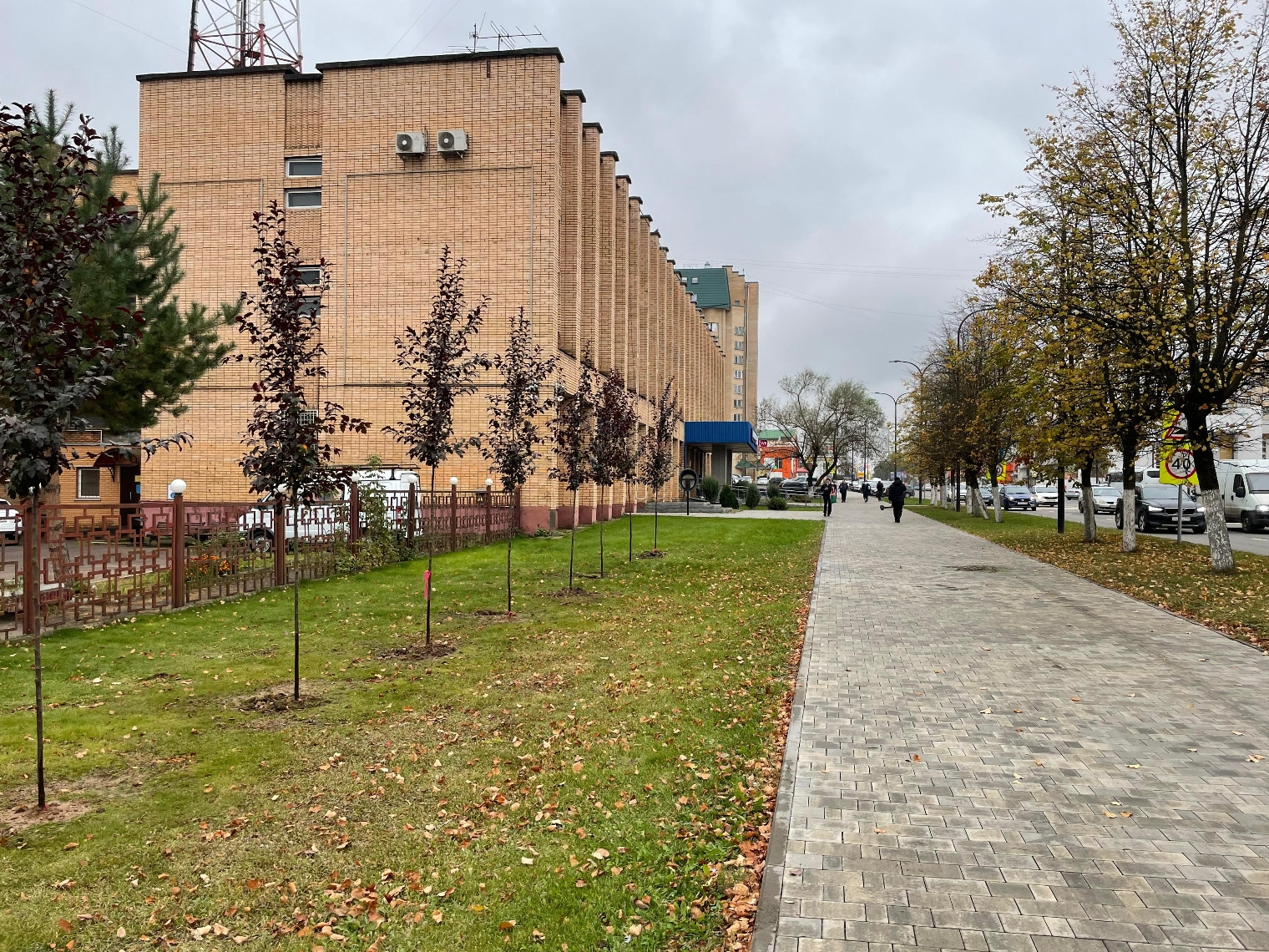 Фото: пресс-служба администрации Наро-Фоминского г.о.            
