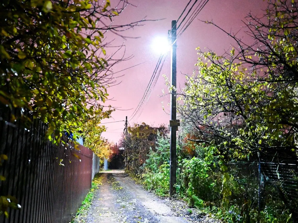 Фото: пресс-служба администрации Ленинского г.о.