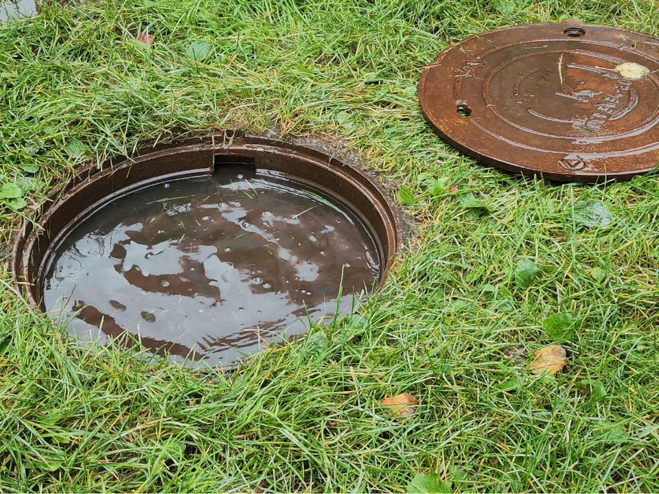 Фото: МедиаБанк Подмосковья/Наталья Лымарь