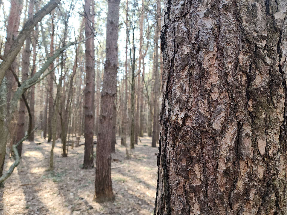 Фото: МедиаБанк Подмосковья/Мария Андрюхина