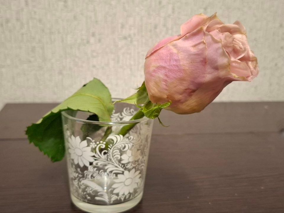 Фото: REGIONS/Юлия Габбасова