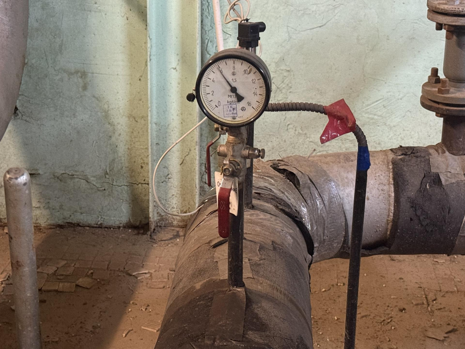 Фото: МедиаБанк Подмосковья/Анна Дука