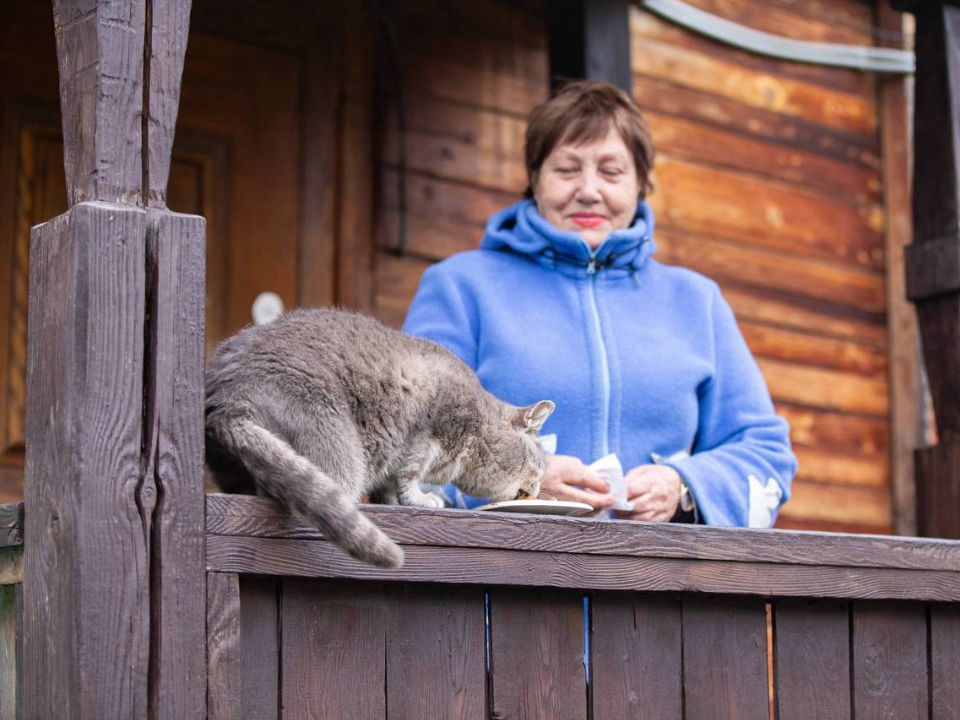 Фото: t.me/podolskadm