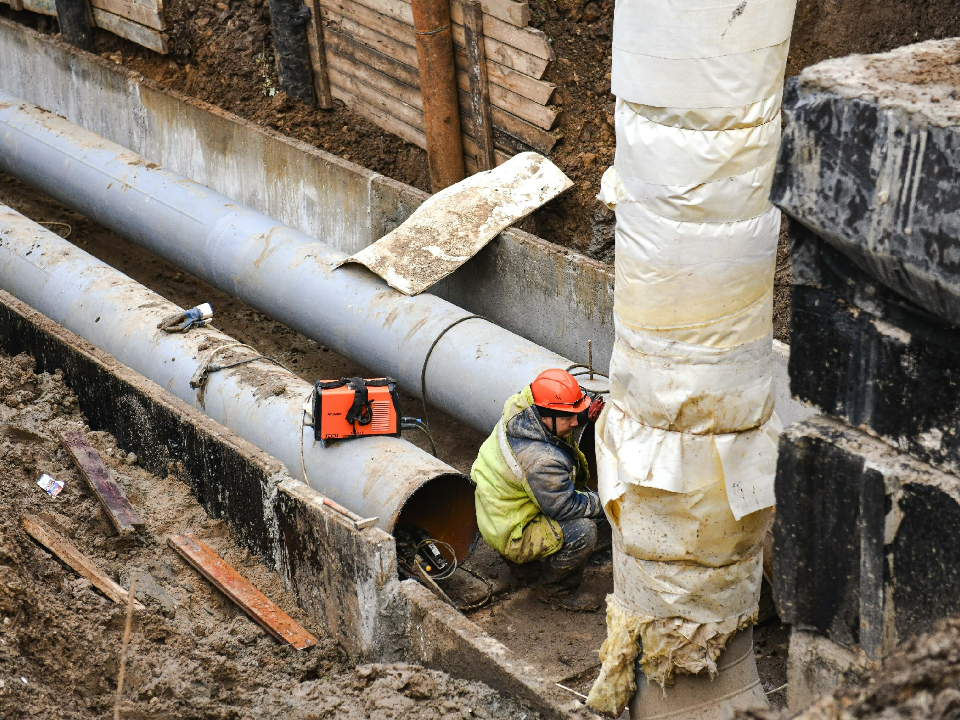 Фото: пресс-служба администрации г.о. Химки